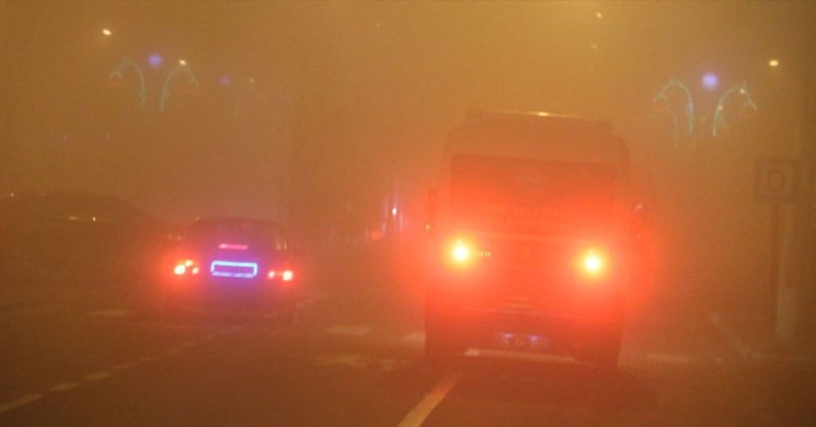 Ağrı Ve Erzurum'da Yoğun Sis