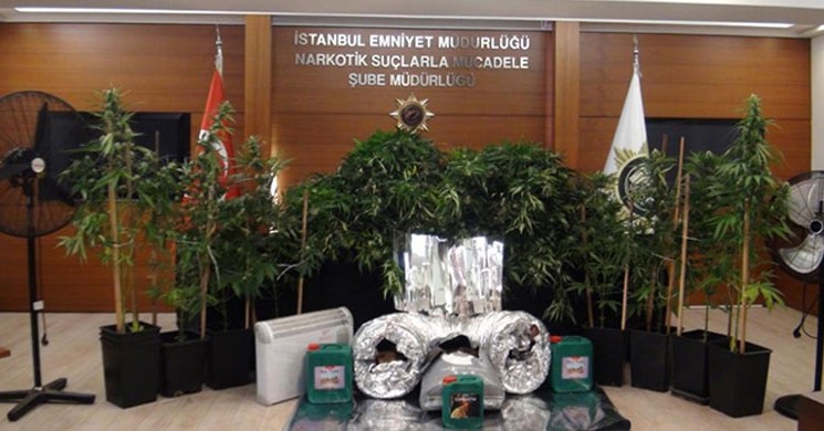 Avcılar'da Evi Uyuşturucu Serasına Çevirmişler