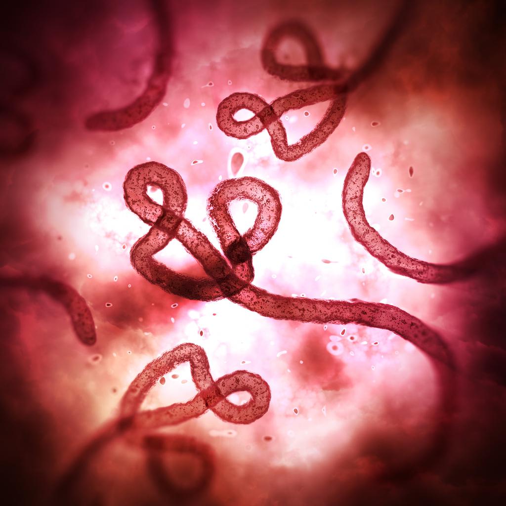 Geçen yıl yaklaşık 1,7 milyon kişiye HIV bulaştı