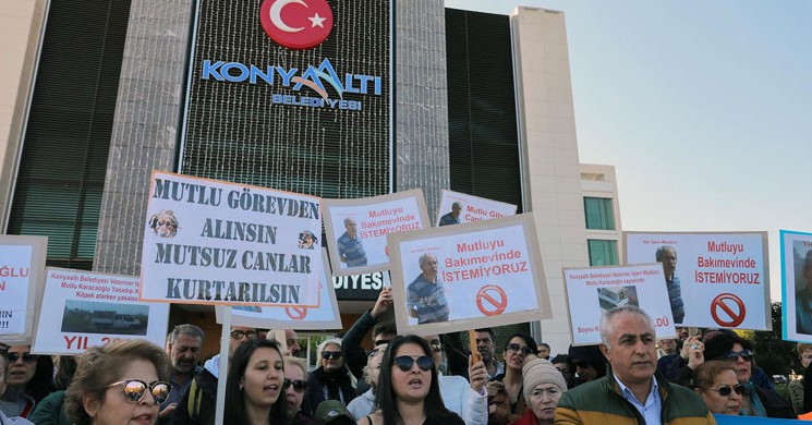Görevden Alındı! Yavru Köpekler Ölü Bulundu