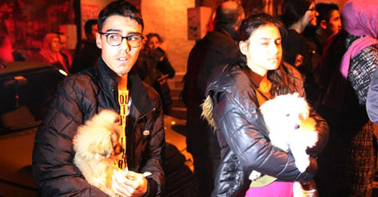 Hem Kendilerini Hem de Köpeklerini Kurtardılar