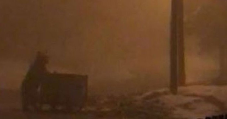 Kastamonu'da Ayı Aç Kaldı! Yemeğini Çöpte Aradı