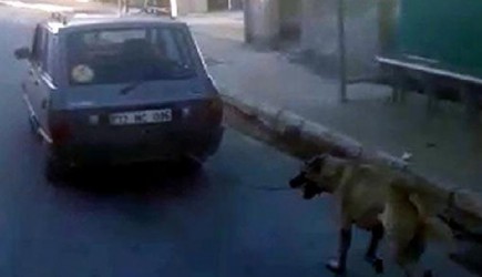 Mersin'de Bir Kişi Köpeği Araca Bağlayıp Arkasından Koşturdu