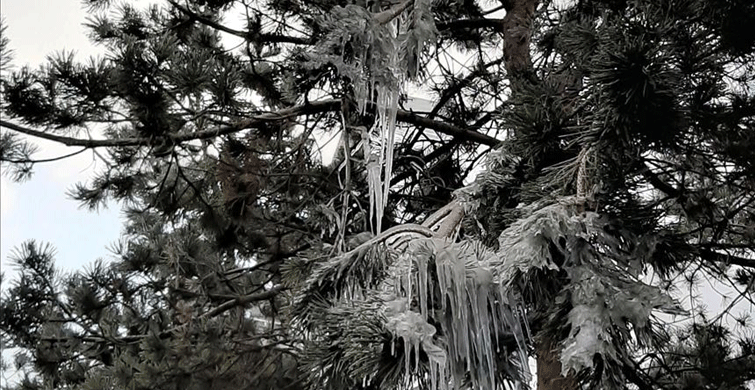 Meteoroloji Dört İl İçin Buzlanma ve Don Uyarısında Bulundu