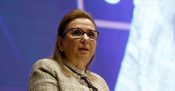 Pekcan: İhracatçılar Bürokrasiye Takılmadan Tek Tıkla Destek Alacak