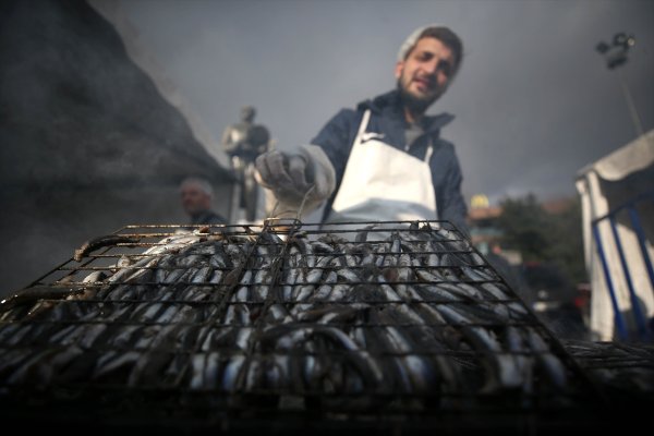 Düzce'de hamsi festivali