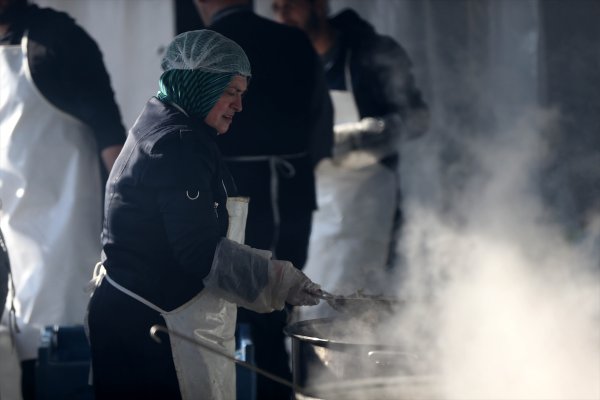 Düzce'de hamsi festivali