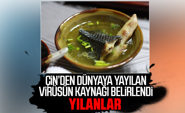Koronavirüsünün yılanlardan insanlara geçtiği belirtildi