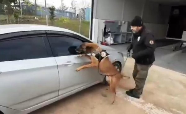 Otomobilin yakıt deposundan esrar çıktı