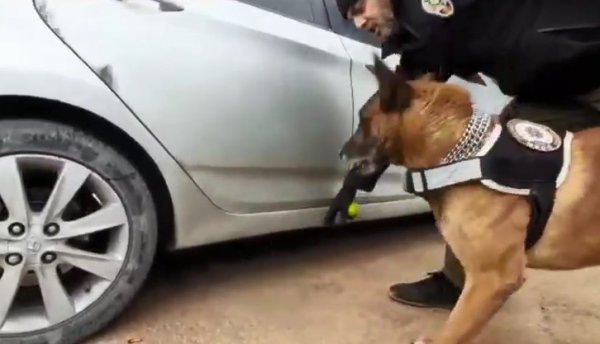 Otomobilin yakıt deposundan esrar çıktı