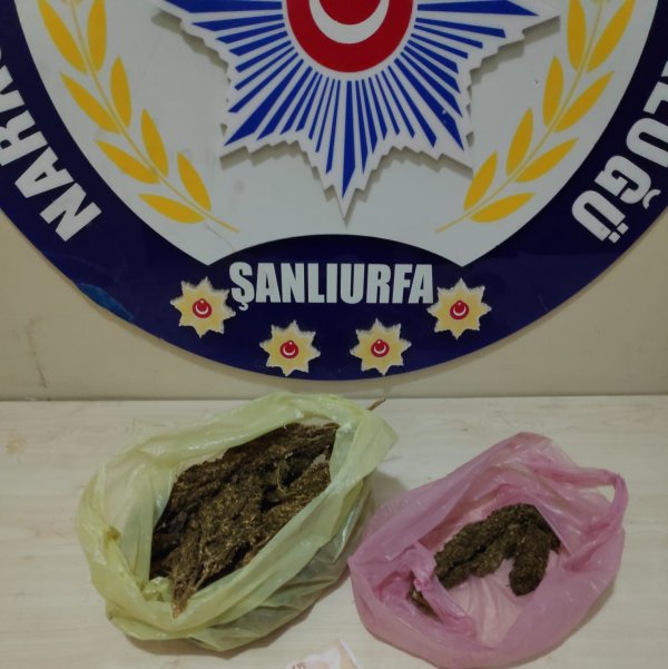 Şanlıurfa’da uyuşturucu operasyonu: 9 tutuklama