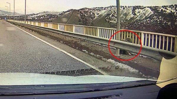 Tunceli'de kaybolan Gülistan'ın son görüntüsü