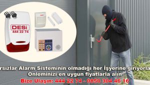 Desi Smartline Alarm Fiyat Nedir