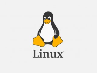 Linux nedir
