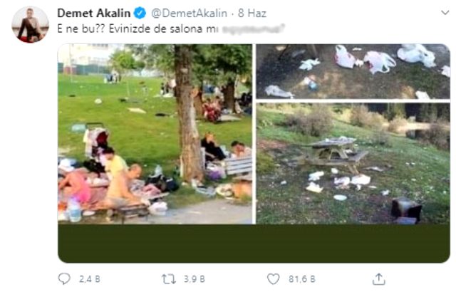 Şarkıcı Demet Akalın, parklardaki çöp birikintisi görüntülerine tepki gösterdi