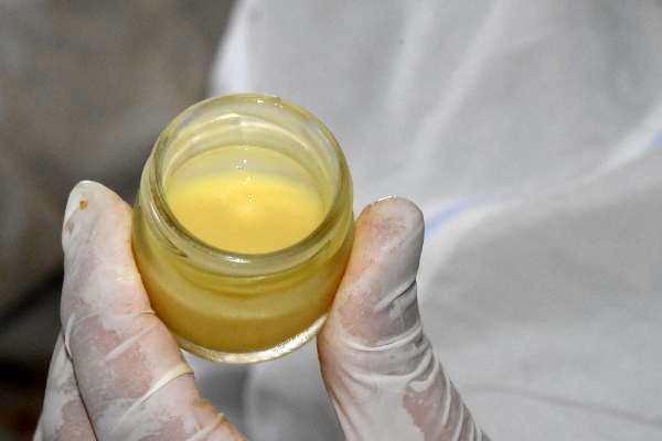 Bağışıklık sistemini güçlendiren arı sütünün kilosu 7 bin TL'den alıcı buluyor