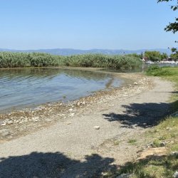 İznik Gölü bu yıl da 20 metre çekildi