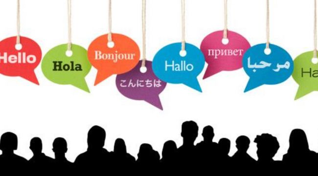 FREELANCER ÇEVİRİ İŞ İLANLARI 