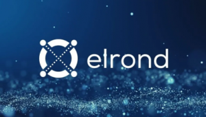 Elrond (ERD) Nedir? Nasıl Satın Alınır?