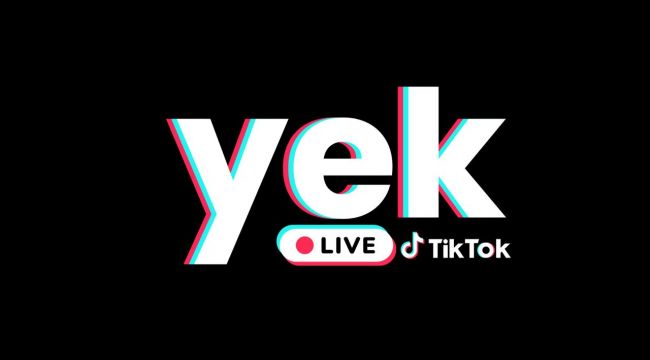 2025'te Kendi TikTok Ajansınızı Kurmak YEK Agency ile Artık Masrafsız