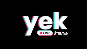 2025'te Kendi TikTok Ajansınızı Kurmak YEK Agency ile Artık Masrafsız