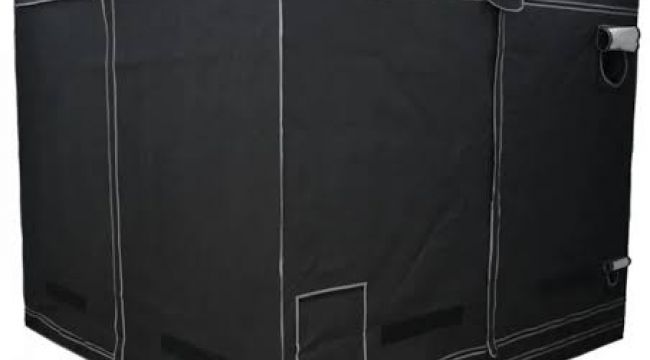 Bitki Kabini Seçerken Hangi Faktörlere Dikkat Edilmeli?